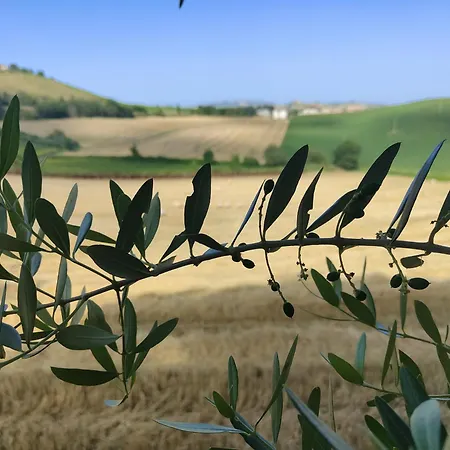 La Casa Del Duca Montalto delle Marche
