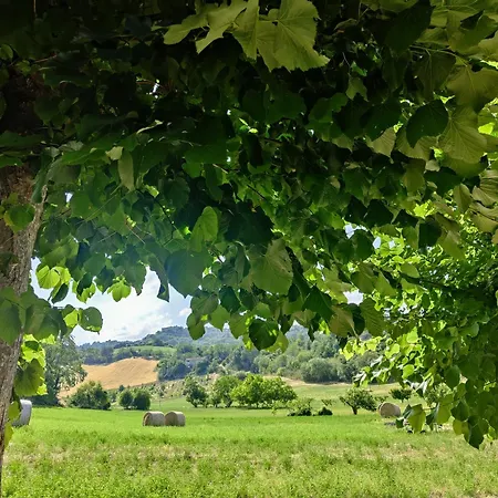 La Casa Del Duca Casa de Campo Montalto delle Marche