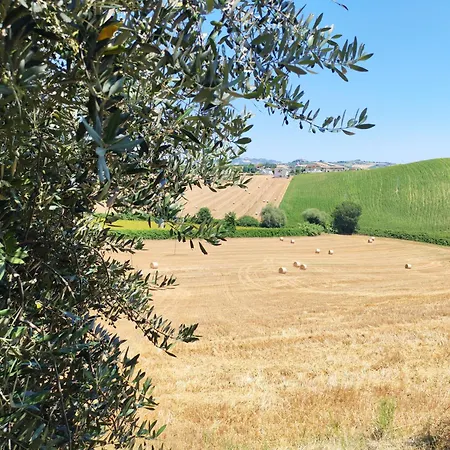 La Casa Del Duca Montalto delle Marche